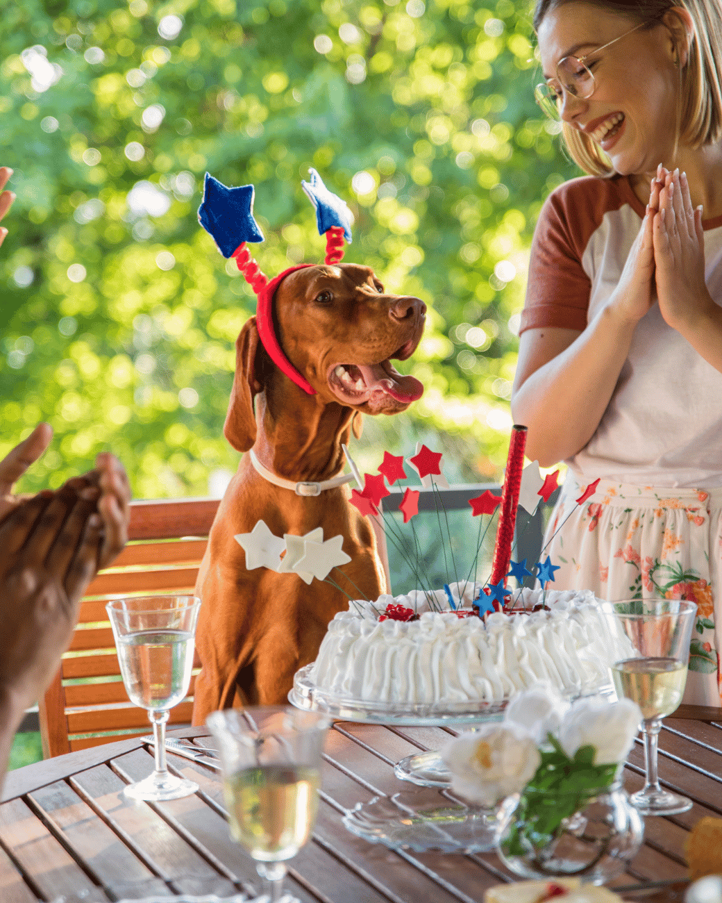 Pet Birthday Celebration Party